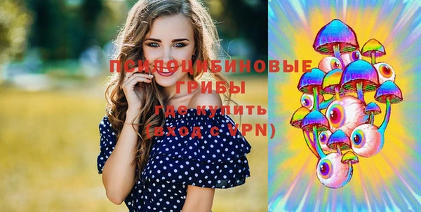 гидра Покачи