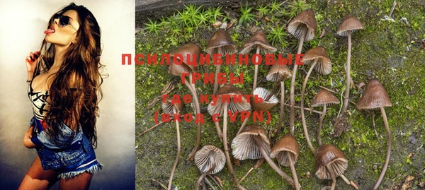 MESCALINE Пересвет