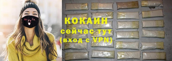 гидра Покачи